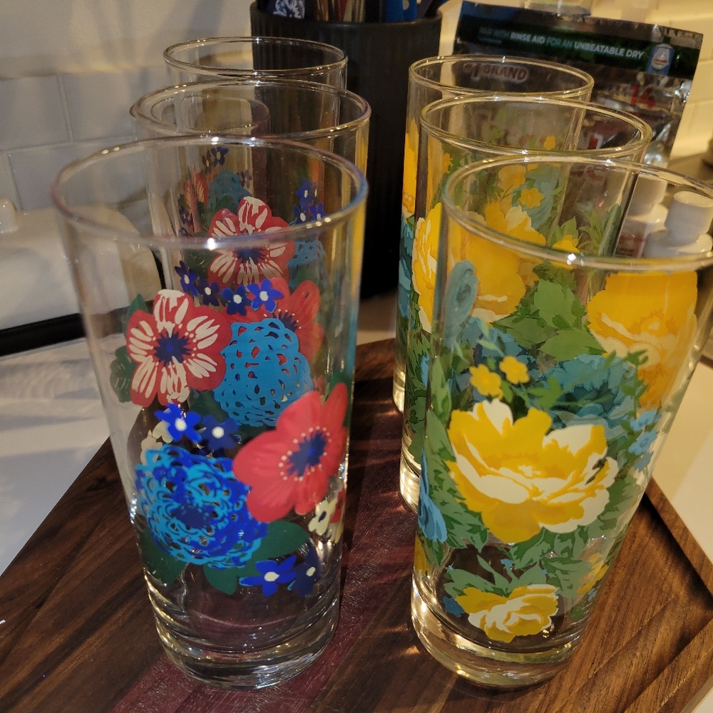 Pioneer Woman Drinking Glasses